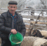 Будущее за семейными фермами - Кабардино-Балкарская правда