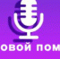 На сайте Пенсионного фонда России работает голосовой ассистент. - МФЦ
