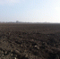 5656876fggretryn - Россельхознадзор