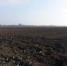 Pole3234574753 - Россельхознадзор
