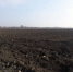 zemlya2324321 - Россельхознадзор