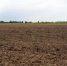Predpisanie 28.06.2019 - Россельхознадзор