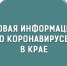 На Ставрополье 79 человек за минувшие сутки заразились коронавирусом, двое умерли - Sk-News.Ru