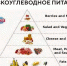 Долгоздрав.Клуб: LCHF-питание: Сколько вешать в граммах? Рецепты и советы практика Елены Никулиной - Sk-News.Ru
