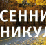 Осенние каникулы на Ставрополье переносить не будут - Sk-News.Ru