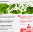 9f6e6726_6946_4a1c_9201_76ec36c04925.png - Роспотребнадзор