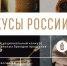 Бренд «Вина Ставрополья» представит регион на всероссийском конкурсе - Sk-News.Ru