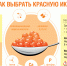 О рекомендациях как выбрать красную икру - Роспотребнадзор