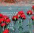 Руководитель КБРО «Ветеран» поздравил «афганцев» КБР - РИА Кабардино-Балкария