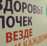 Ученые КБГУ приняли участие в конференции о здоровье почек - РИА Кабардино-Балкария