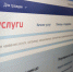 Домашний консультант: подтвердить учетную запись на портале госуслуг можно в Пенсионном фонде - Sk-News.Ru