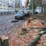 В Ставрополе могут вырубить 29 деревьев для создания парковки - Sk-News.Ru