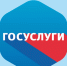 Правительство расширило функционал единого портала госуслуг - Sk-News.Ru
