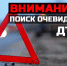 Госавтоинспекция разыскивает очевидцев ДТП с участием пенсионерки в Нальчике - ГИБДД КБР