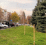В рамках работ по озеленению городских пространств к концу года на улицах города будет высажено 2051 дерево - Городской округ Нальчик
