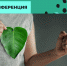 Движение ЭКА анонсировало конференцию по защите экологических прав - Sk-News.Ru