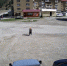 photo1652364409.jpeg - Министерство транспорта