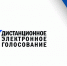На «Госуслугах» открыли прием заявлений для участия в электронном голосовании - РИА Кабардино-Балкария
