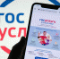 Число пользователей «Госуслуг» приблизилось к 100 миллионам - РИА Кабардино-Балкария