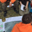 Кисловодск примет первые Межрегиональные учения добровольцев поисковых отрядов России - Sk-News.Ru