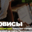 На сайте пенсионного фонда появился звуковой ассистент - РИА Кабардино-Балкария