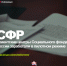 Клиентские центры Социального фонда России заработали в пилотном режиме - Пенсионный фонд