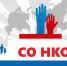 В Ставрополе 13 социальных НКО в 2023 году получили более 31 млн рублей субсидий - Sk-News.Ru