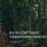 Пожароопасный сезон начался на территории Карачаево-Черкесии - Sk-News.Ru