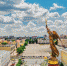 Движение транспорта будет ограничено в Ставрополе 9 мая - Sk-News.Ru