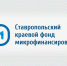 На Ставрополье разработали льготный займ для многодетных семей под 5% годовых - Sk-News.Ru