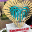 Во время майских праздников в Кисловодске для участников СВО собрали более 4 млн рублей - Sk-News.Ru