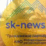 В отношении жителя Нефтекумского округа возбудили уголовное дело за незаконную рубку лесных насаждений - Sk-News.Ru