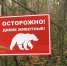 Граждане и гости Кабардино-Балкарии! Соблюдайте осторожность,  воздержитесь от посещения  лесных массивов - Министерство природных ресурсов и экологии