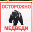 Минприроды КБР предупреждает: смотри в оба! Медведь замечен у Нальчика - Юг России