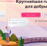 О платформе «ДОБРО.РФ» как единой информсистеме в сфере добровольчества рассказали в правительстве Ставрополья - Sk-News.Ru