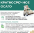 Банк России информирует - Газета Нальчик
