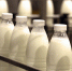 В Кабардино-Балкарии вырос объем производства молочной продукции - Правительство КБР