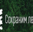 Ежегодная главная лесовосстановительная акция «Сохраним лес» пройдет в Кабардино-Балкарии - Правительство КБР