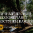 Закон разрешит гражданам арендовать лесные участки без торгов - Юг России