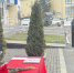 Полицейские приняли присягу - Кабардино-Балкарская правда