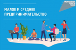 Три четверти представителей МСП в России считают 2024 год в разной степени успешным