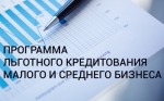 Субъектам МСП из приоритетных отраслей экономики будут доступны льготные программы инвестиционного кредитования