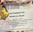 Юрий Мамбетов представлен к получению звания Мастера спорта России по пауэрлифтингу - Северо-Кавказский государственный институт искусств