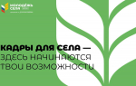 Для будущих предпринимателей села