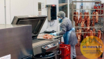 Ставрополье на 43% увеличило экспорт агропродукции в Саудовскую Аравию