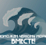 Поможем Черному морю вместе! - КБГУ им. Х.М. Бербекова