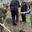 Сквер в память о героях - Кабардино-Балкарская правда