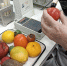 Ветеринарно-санитарная экспертиза подконтрольной продукции - Управление ветеринарии КБР