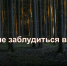 МЧС России напоминает- как не заблудиться в лесу. - МЧС КБР