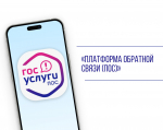 Цифровое взаимодействие жителей и власти: возможности платформы ПОС